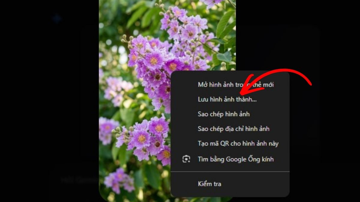 Cách tải hình nền hoa bằng lăng chất lượng và miễn phí