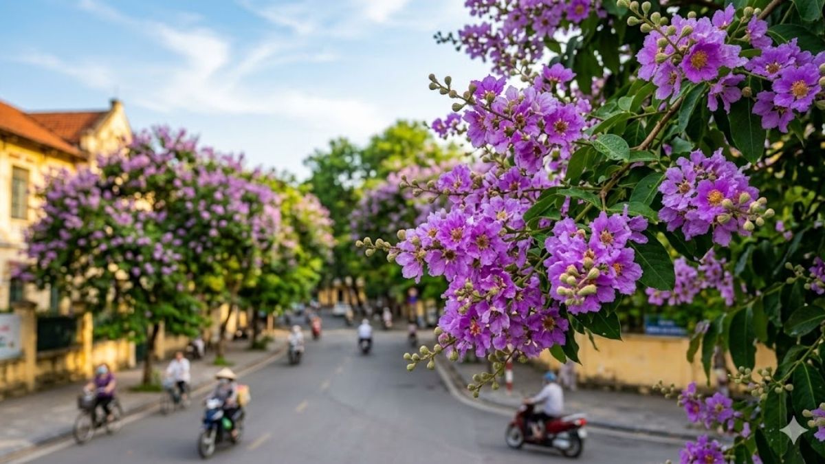 Hình nền hoa bằng lăng 4K, 8K đẹp - 4