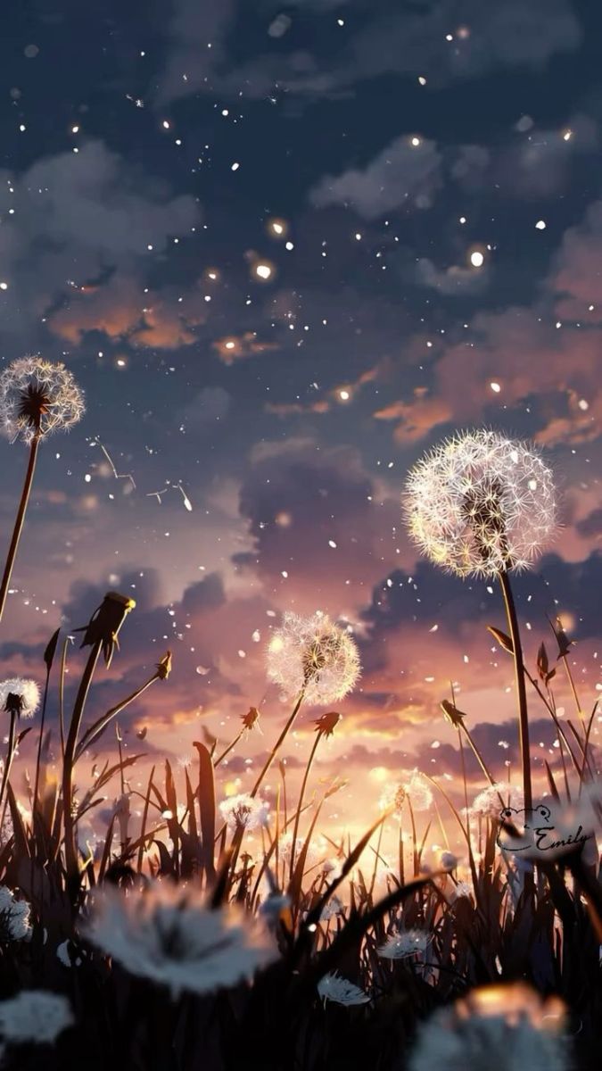 Hình nền hoa bồ công anh theo phong cách nghệ thuật - 4