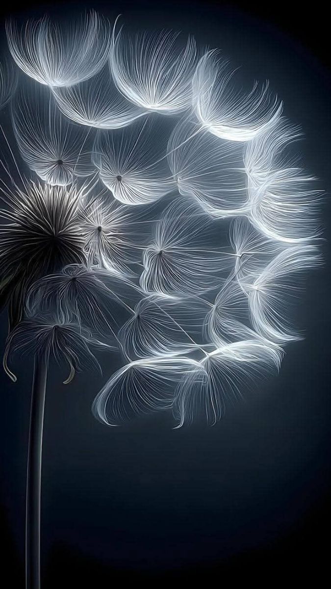 Hình nền hoa bồ công anh nền đen/AMOLED - 2