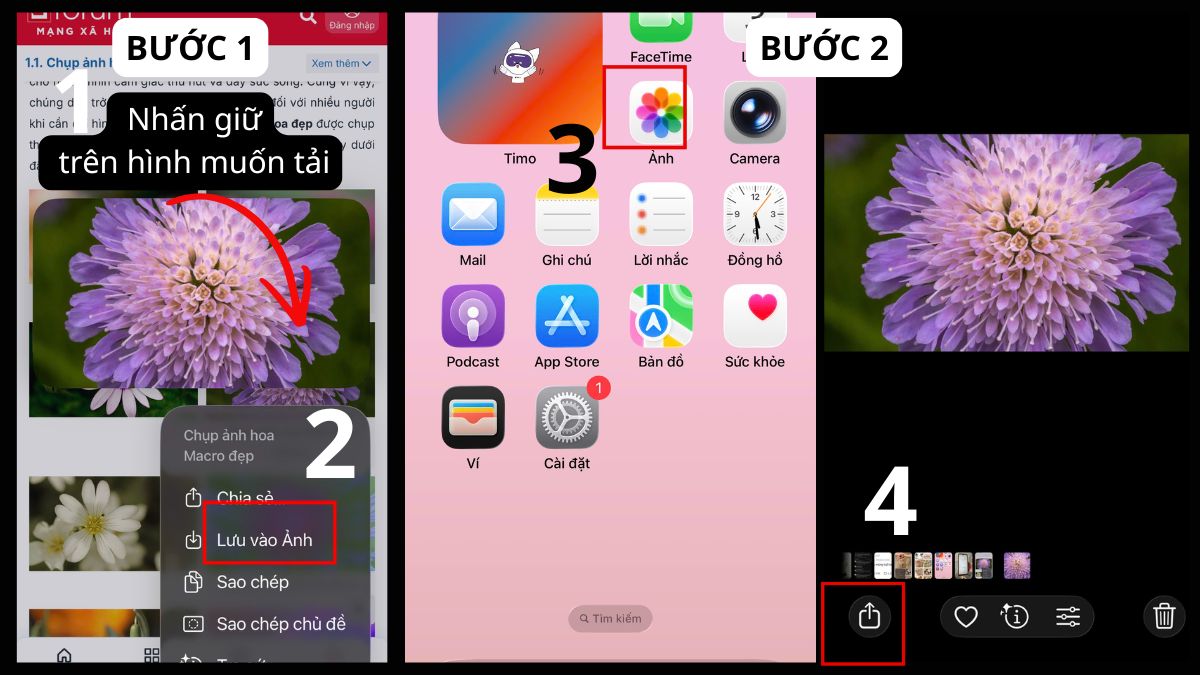 Cách tải và đặt hình nền bồ công anh trên điện thoại - bước 1,2