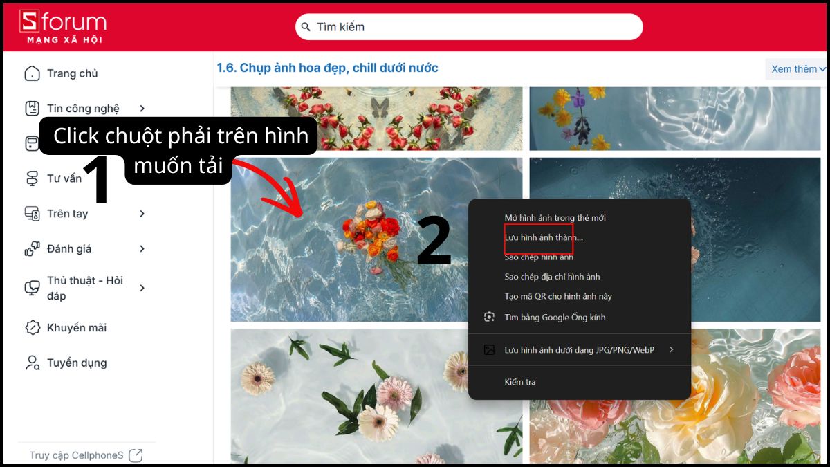 Cách tải và đặt hình nền bồ công anh trên máy tính - bước 1