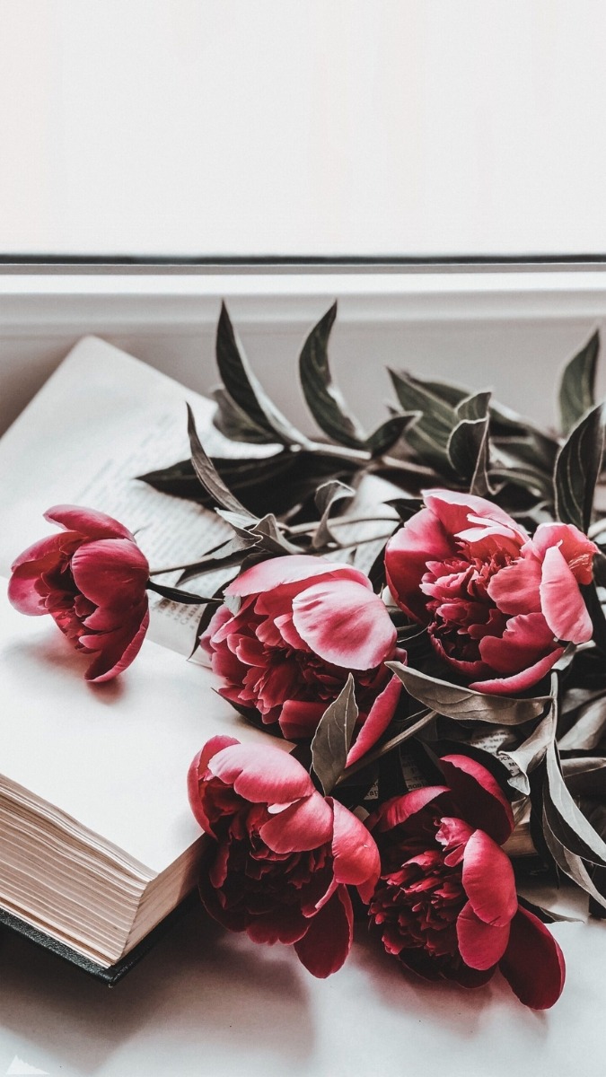 Hình nền hoa mẫu đơn đỏ đại diện tình yêu và may mắn - 5