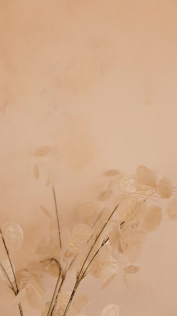 Hình nền màu da be nhẹ nhàng - 1