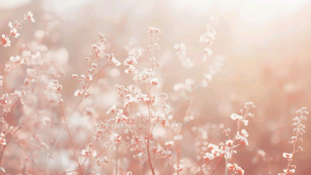 Background màu da người aesthetic - 3