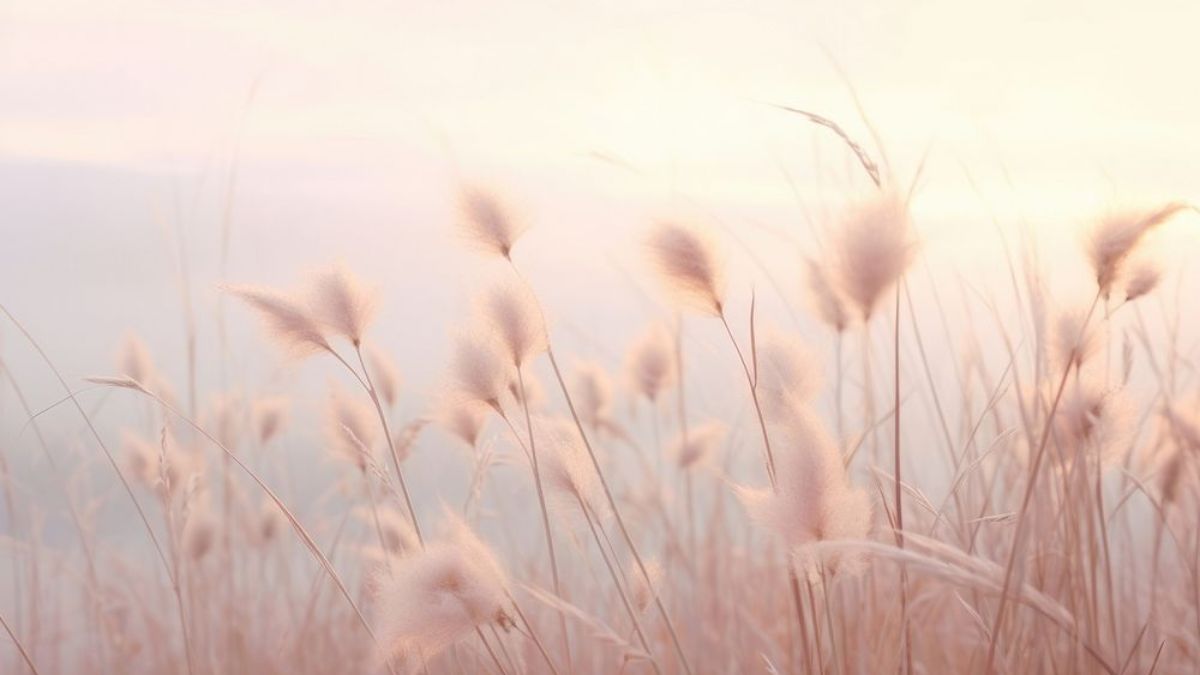 Background màu da người aesthetic - 4