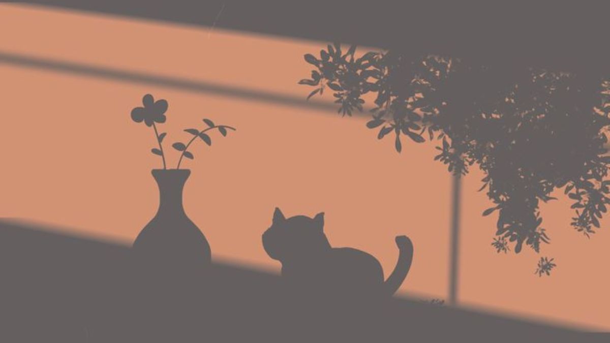 Background màu da người aesthetic - 5