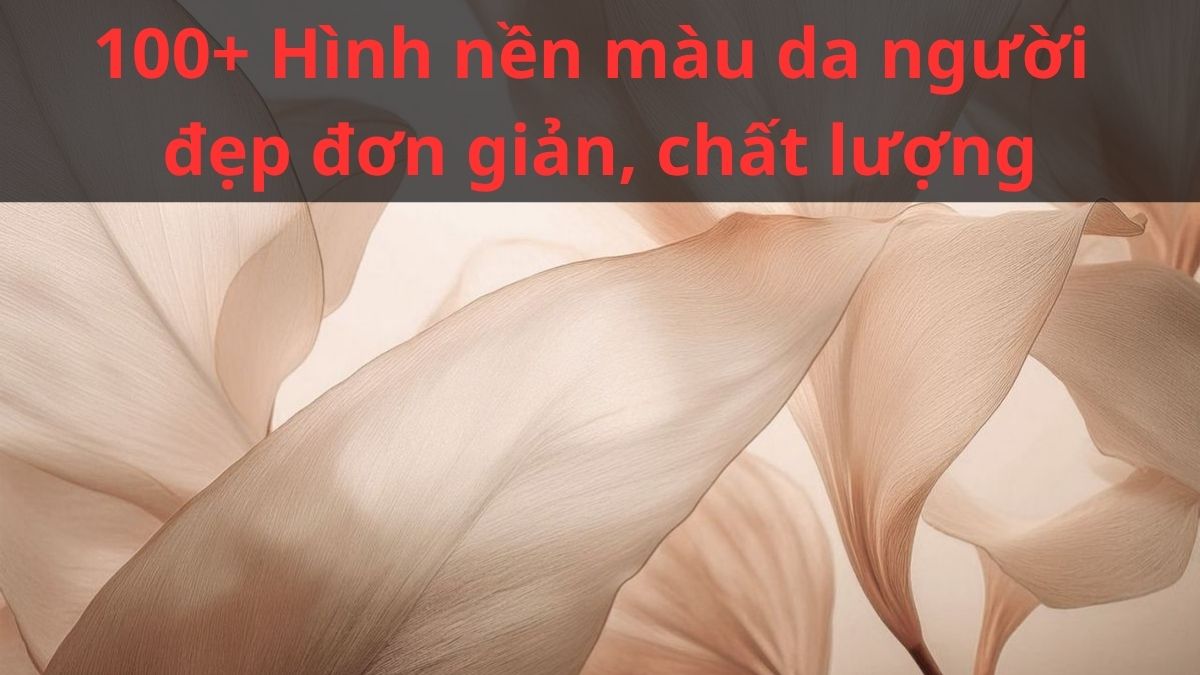 100+ Hình nền màu da người đẹp đơn giản, chất lượng