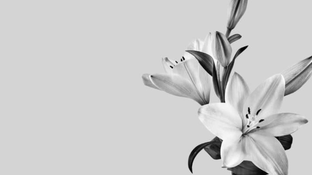 Background xám trắng và xám xi măng cho máy tính - hình 3