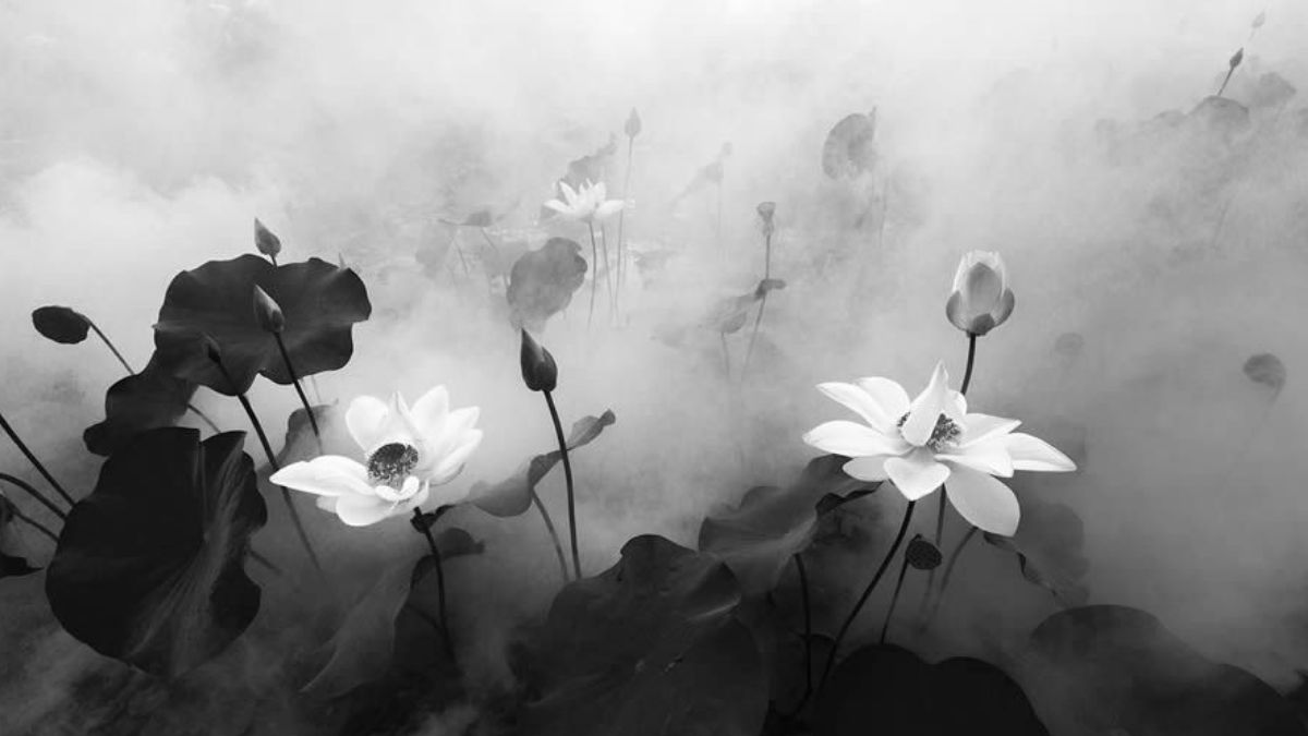 Hình nền màu xám nghệ thuật và aesthetic - 3