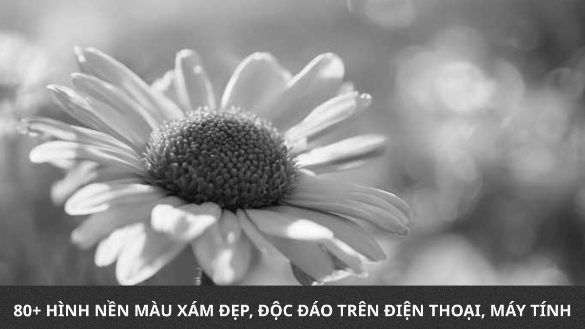 80+ Hình nền màu xám đẹp, độc đáo trên điện thoại, máy tính