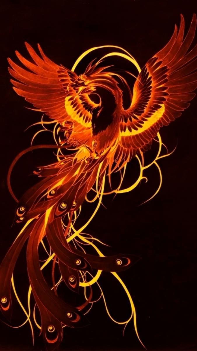 Hình nền phượng hoàng phong cách tối giản - 8