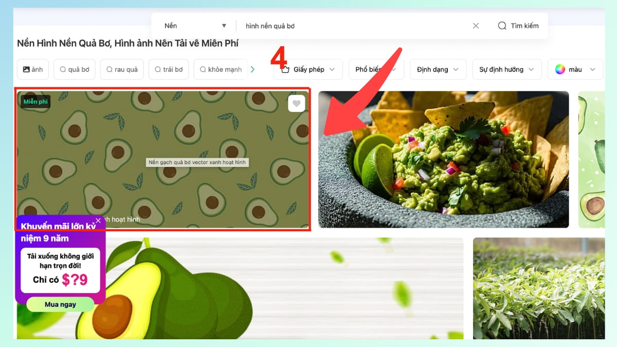 Hướng dẫn tải hình nền quả bơ chất lượng đơn giản -  bước 2