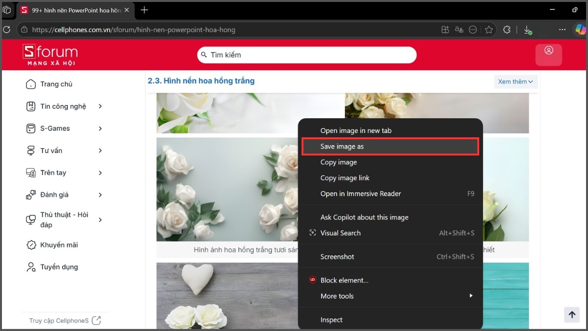 Cách tải hình nền quả quýt miễn phí - 2