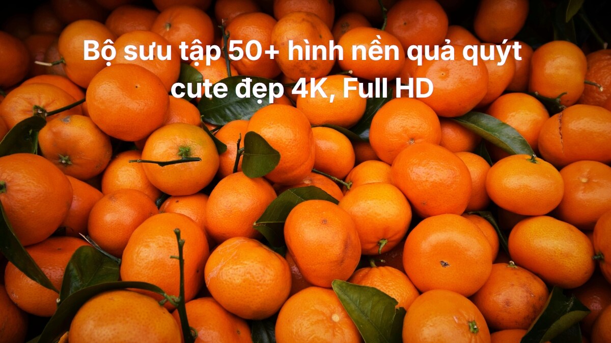 Bộ sưu tập 50+ hình nền quả quýt cute đẹp 4K, Full HD
