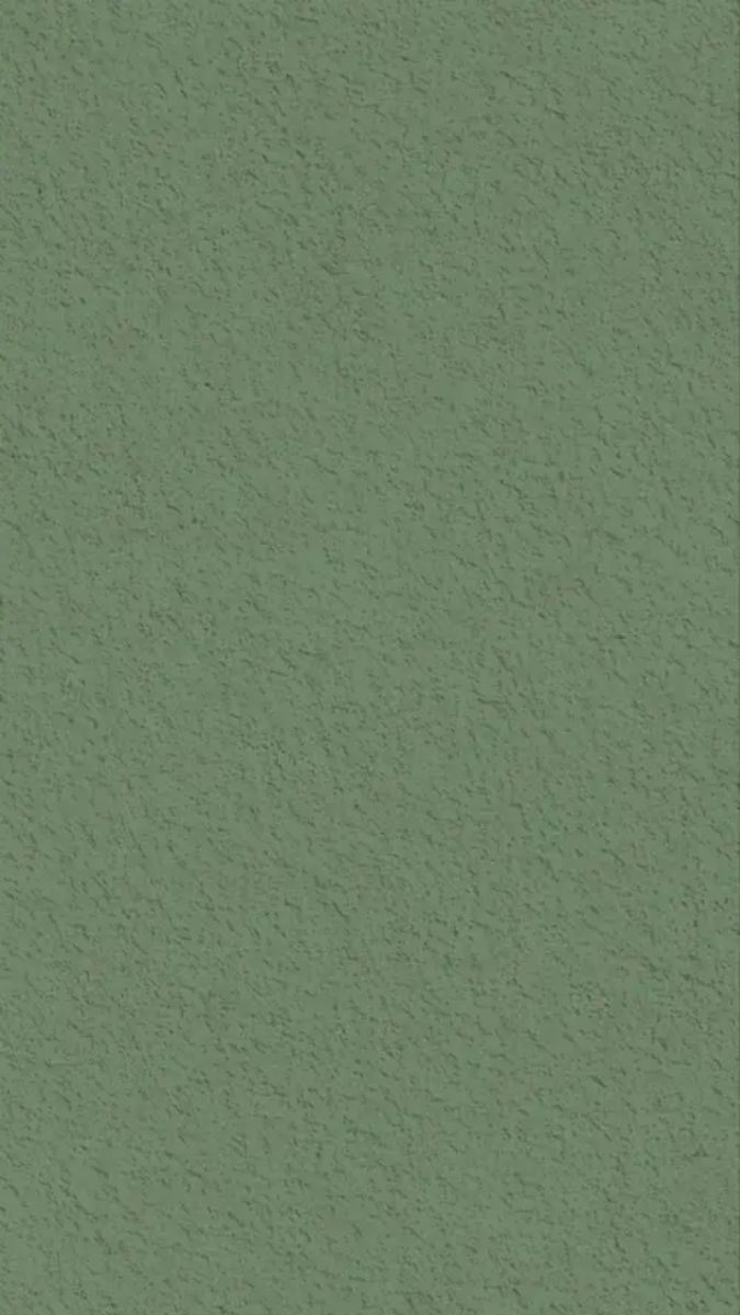 Background xanh rêu trơn tối giản tinh tế - 6