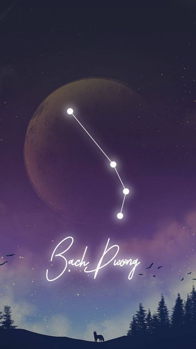 Hình nền động Xiaomi theo cung hoàng đạo - mẫu 6