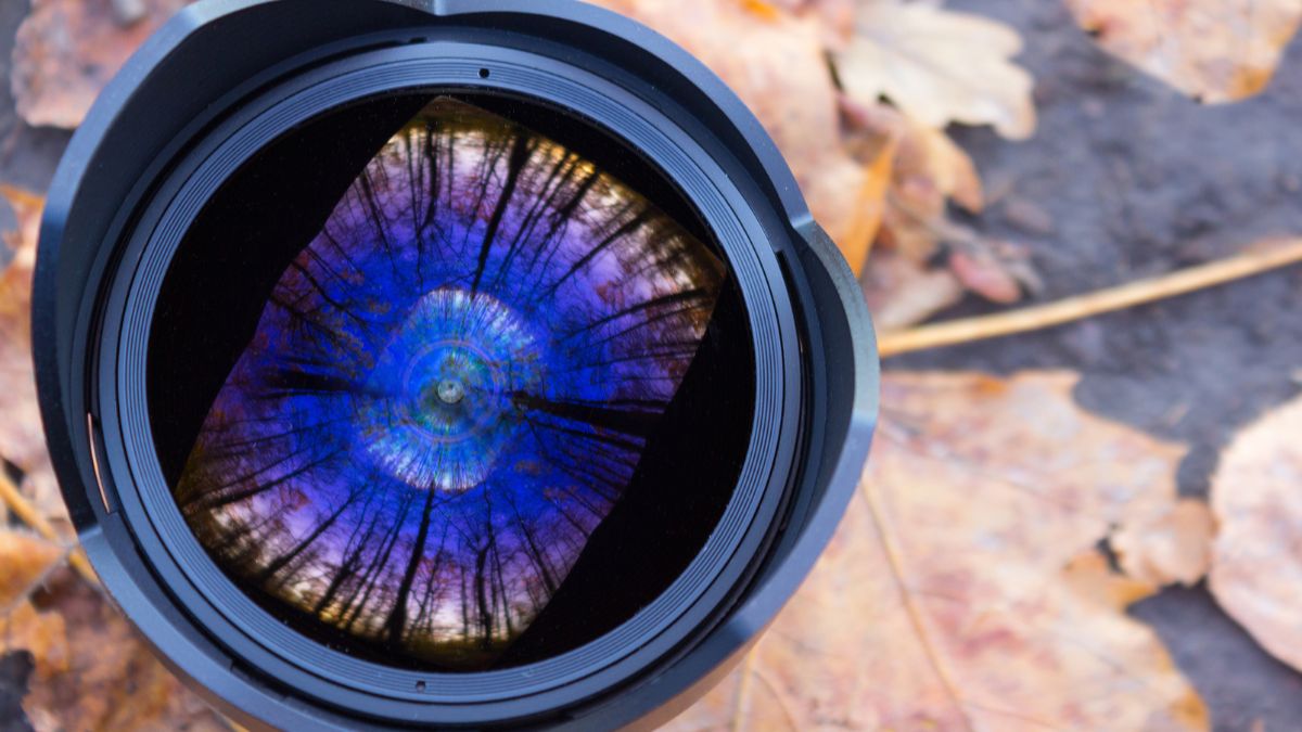 Lens Fisheye (mắt cá) là gì