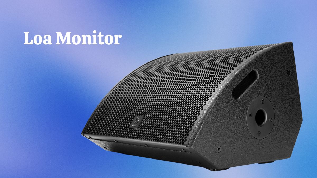 loa hội trường nhỏ - Loa Monitor