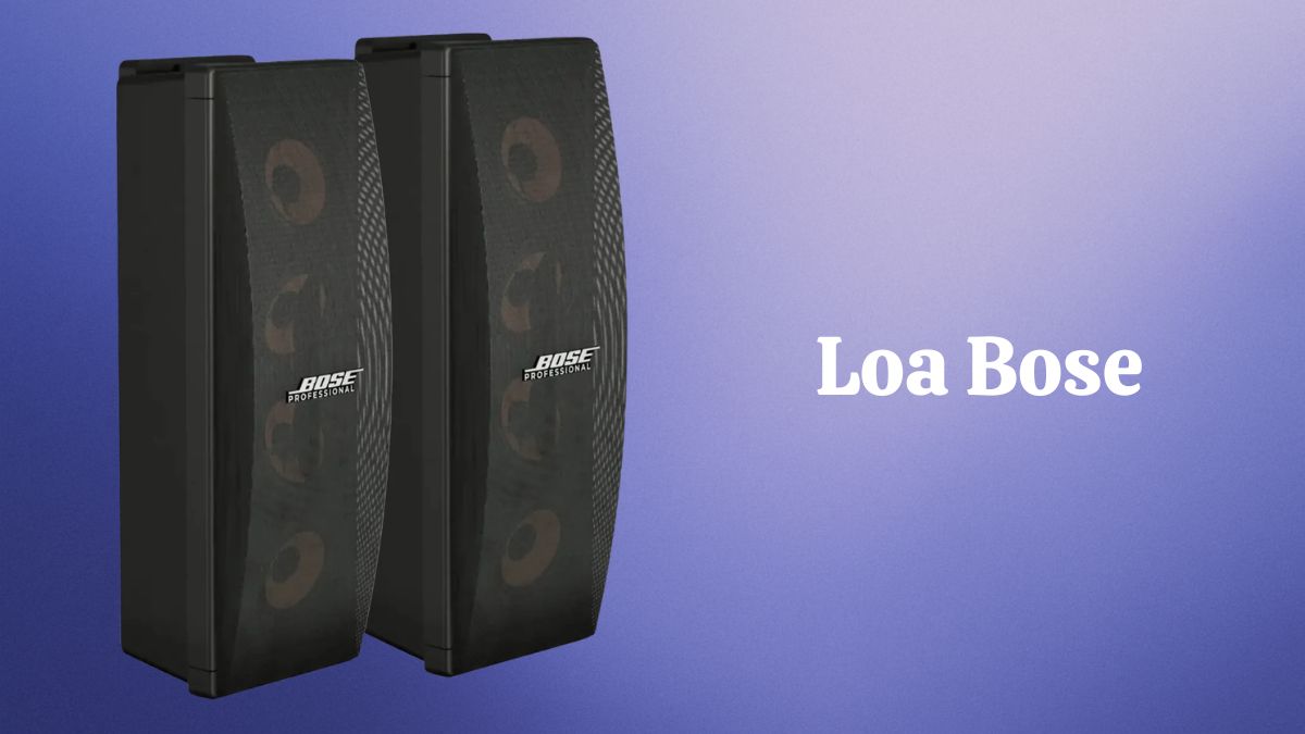 loa hội trường nhỏ - loa Bose