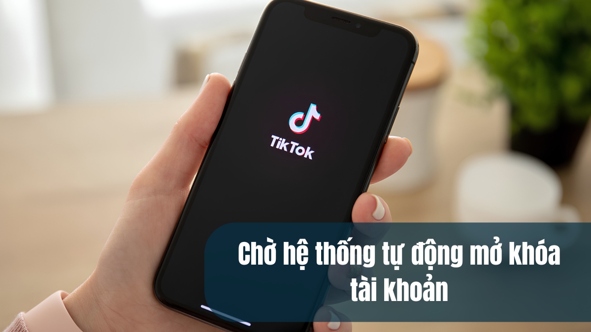 Cách khắc phục lỗi truy cập quá thường xuyên trên TikTok - chờ thời gian hệ thống tự động mở tài khoản