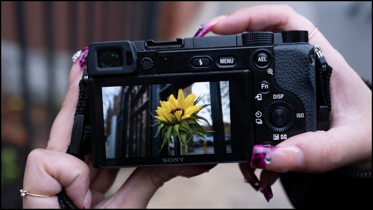 Đặc điểm nổi bật của máy ảnh Mirrorless - khả năng lấy nét động