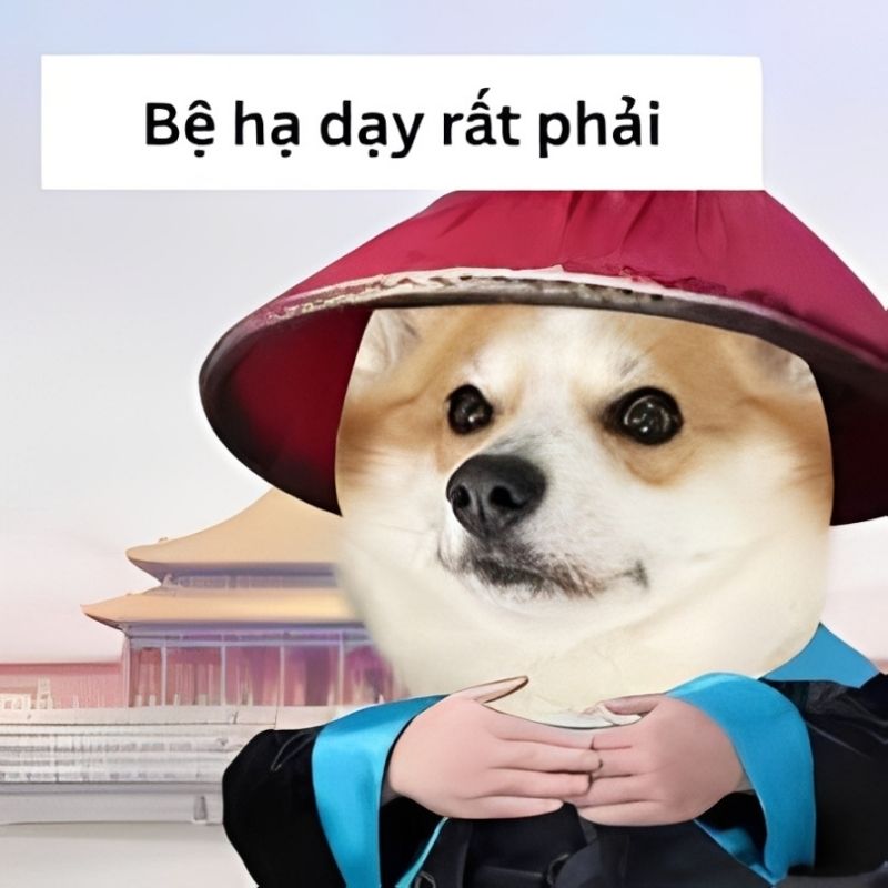 Meme cảm ơn sếp - 4