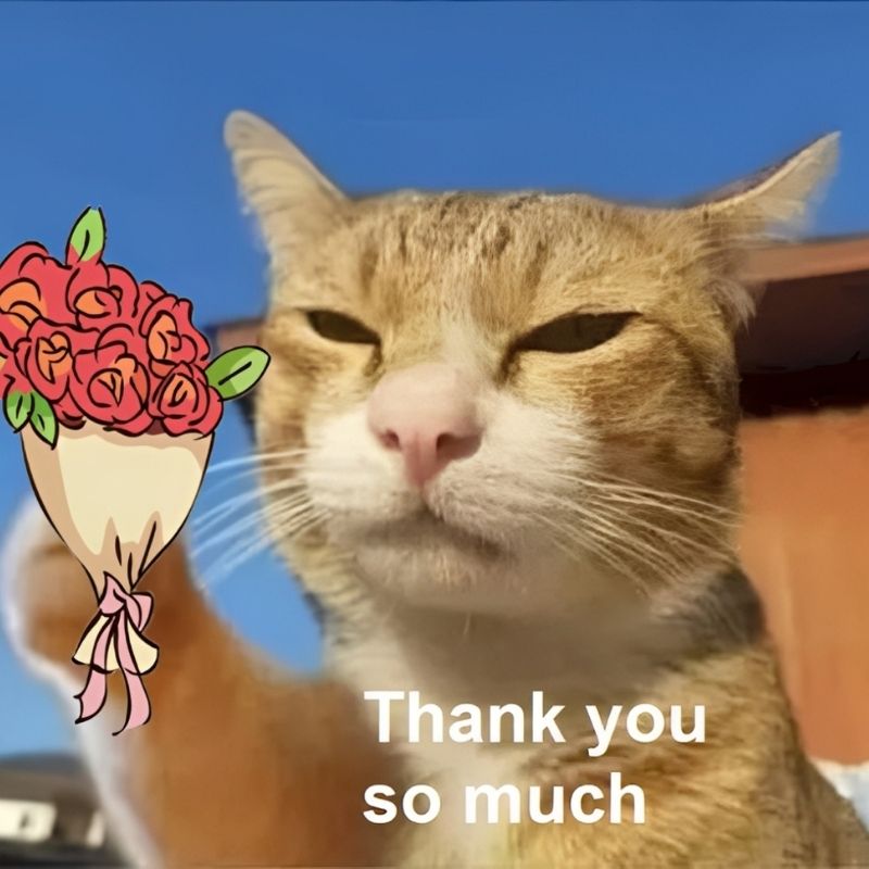 Meme thank you dễ thương - 4
