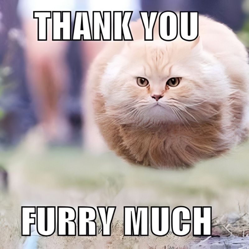 Meme cảm ơn bựa cà khịa nhẹ - 5