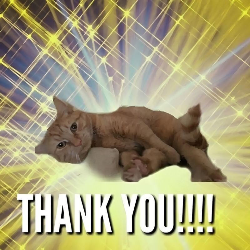 Meme cảm ơn bựa cà khịa nhẹ - 6