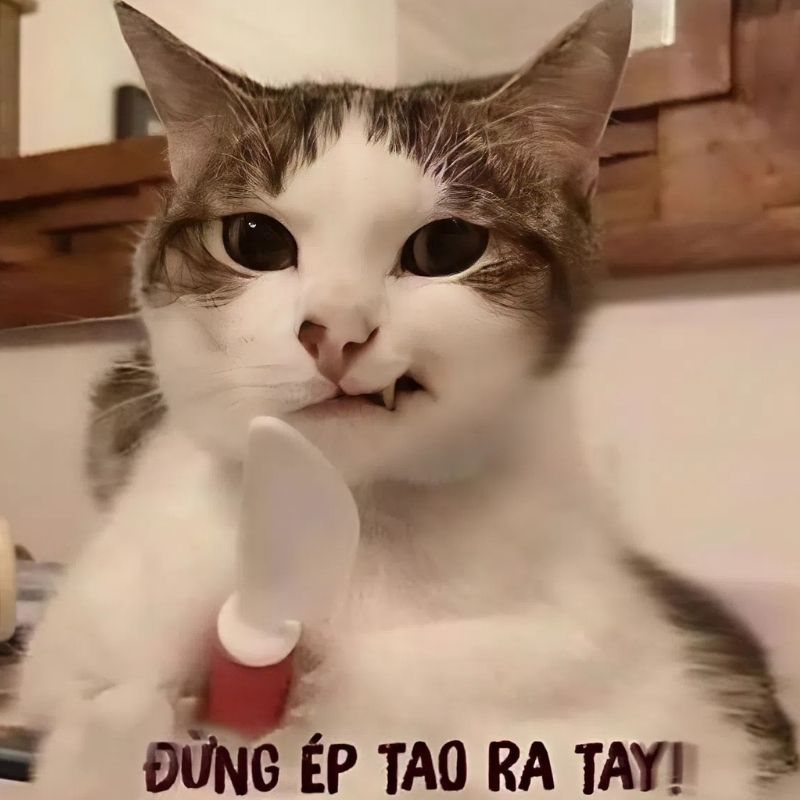 Meme dỗi bựa hài hước - 1