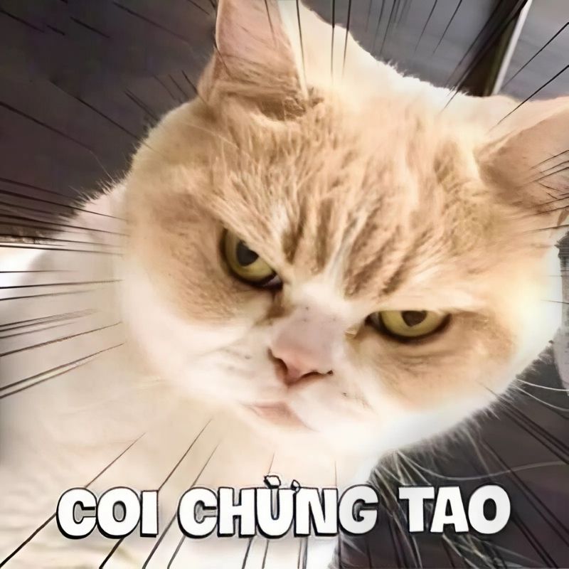 Meme dỗi bựa hài hước - 2