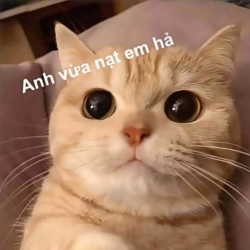 Meme dỗi bựa hài hước - 6