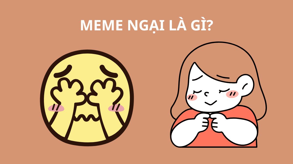 Meme ngại là gì?