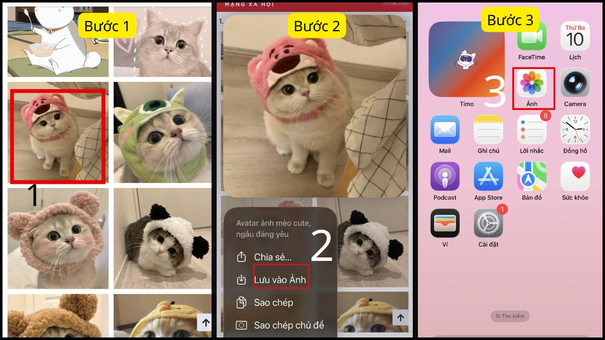Cách tải meme ngại chất lượng miễn phí trên điện thoại