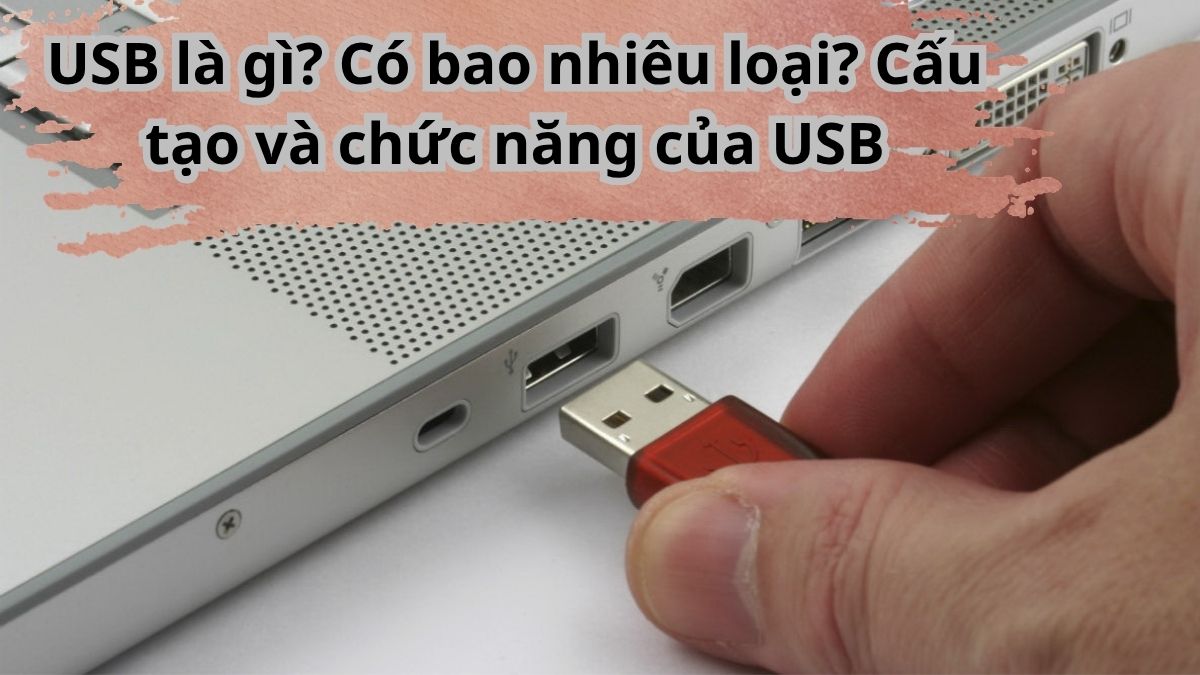 USB là gì? Có bao nhiêu loại? Cấu tạo và chức năng của USB