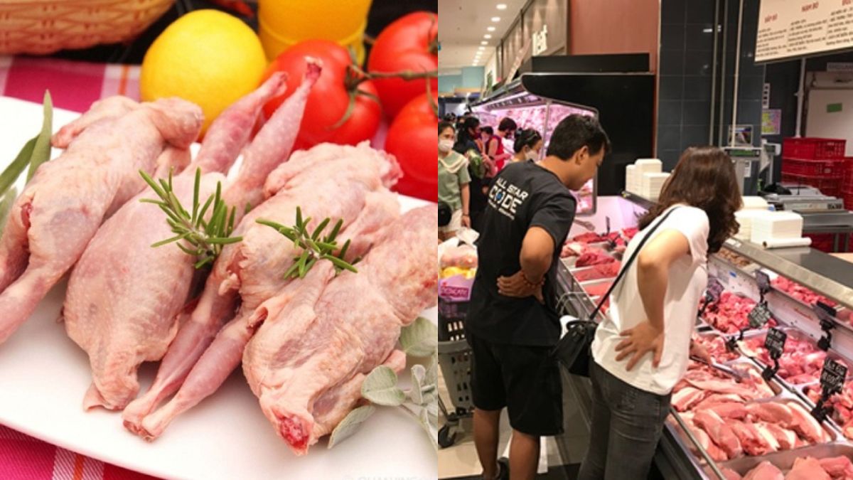 Cách chọn mua chim cút ngon