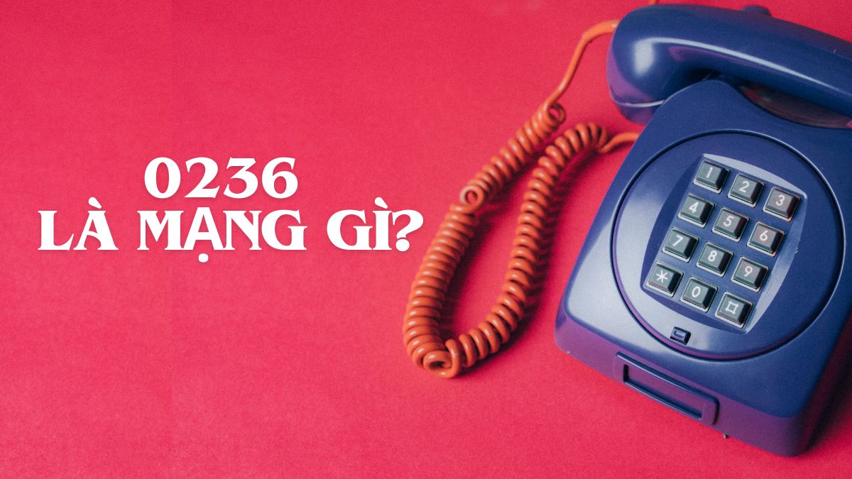 Đầu số 0236 là mạng gì? Mã vùng ở đâu? Có phải lừa đảo không?