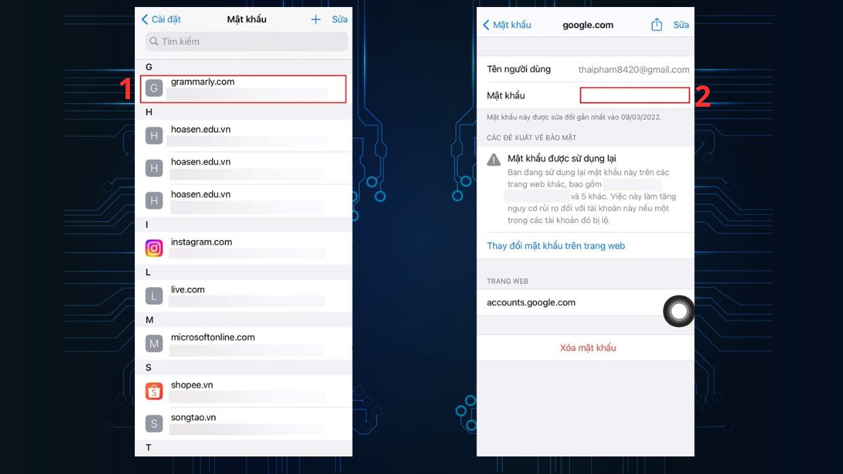 Cách kiểm tra mật khẩu đã lưu trên iPhone - Bước 3