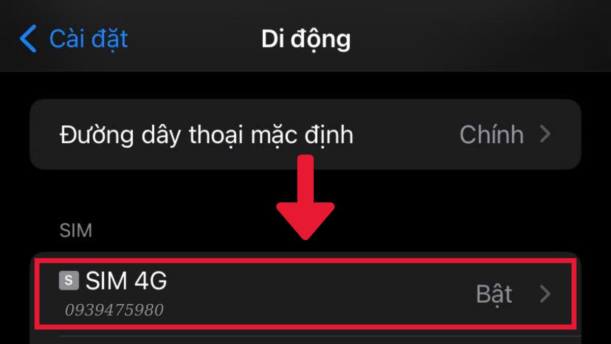 Cách xóa eSIM trên iPhone - Bước 2