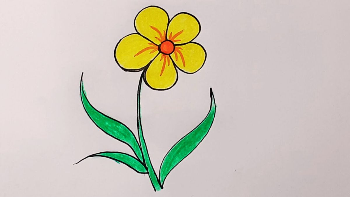 Phân tích kiểu dáng khi vẽ bông hoa 5 cánh