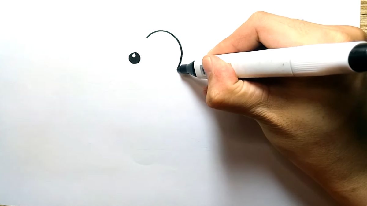 Vẽ con voi đáng yêu vẽ đầu con voi
