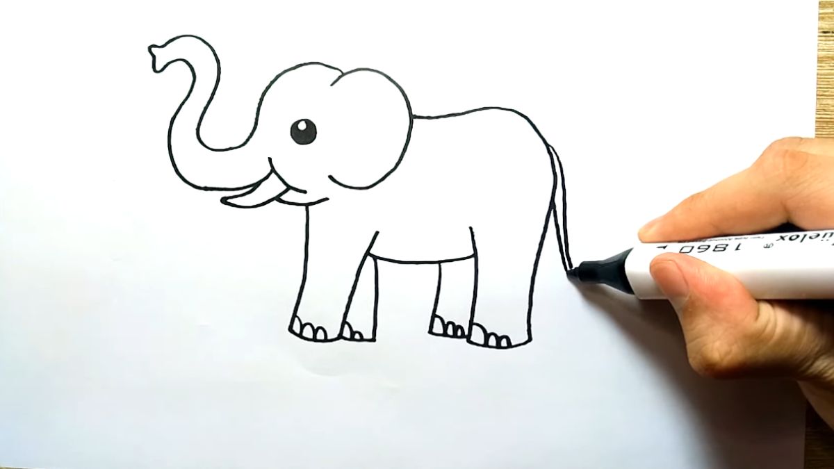 Vẽ con voi đáng yêu vẽ đuôi con voi