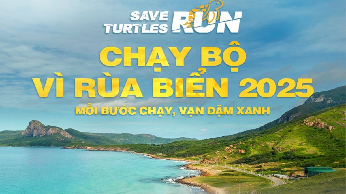Giải chạy bộ vì Rùa Biển 2025 kết nối cộng đồng với công tác bảo vệ rùa biển