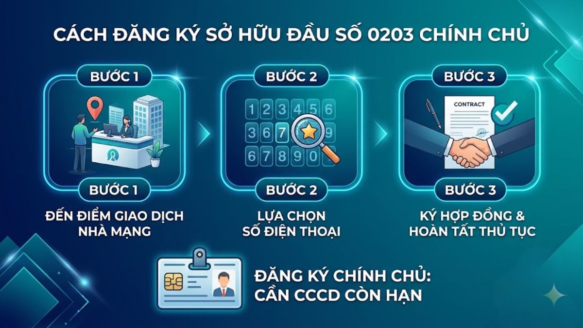 Hướng dẫn cách đăng ký sở hữu đầu số 0203 chính chủ