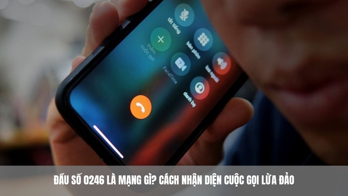 Đầu số 0246 là mạng gì? Cách nhận diện cuộc gọi lừa đảo