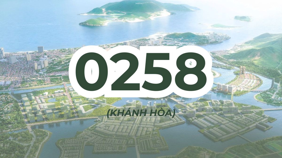 Đầu số 0258 thuộc nhà mạng nào?
