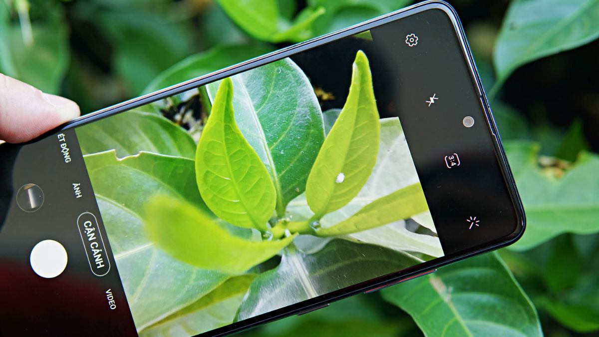 Chế độ chụp cận cảnh trên Samsung