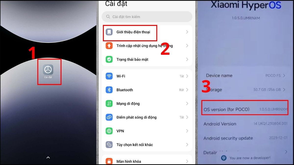 Thao tác bật tùy chọn nhà phát triển