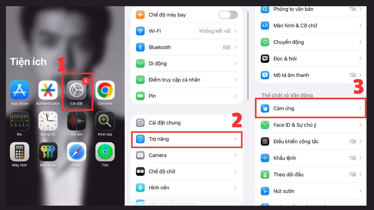 Tìm đến mục Cảm ứng